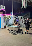 Aquarium of Boise