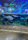 Aquarium of Boise