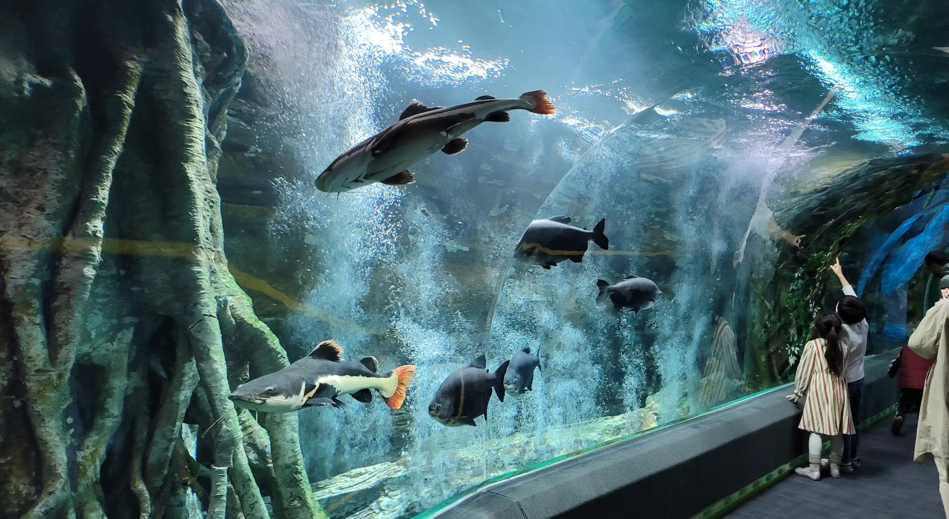 LOTTE WORLD AQUARIUM