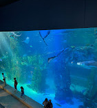 LOTTE WORLD AQUARIUM