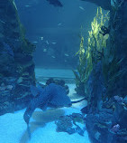 LOTTE WORLD AQUARIUM