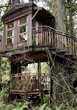 TreeHouse Point