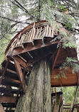 TreeHouse Point