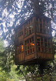 TreeHouse Point