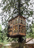 TreeHouse Point