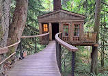 TreeHouse Point