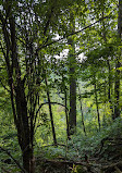 Thomas Hauser Memorial Trailhead