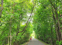 Don Mills Trail