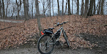 Earl Bales Park Trails