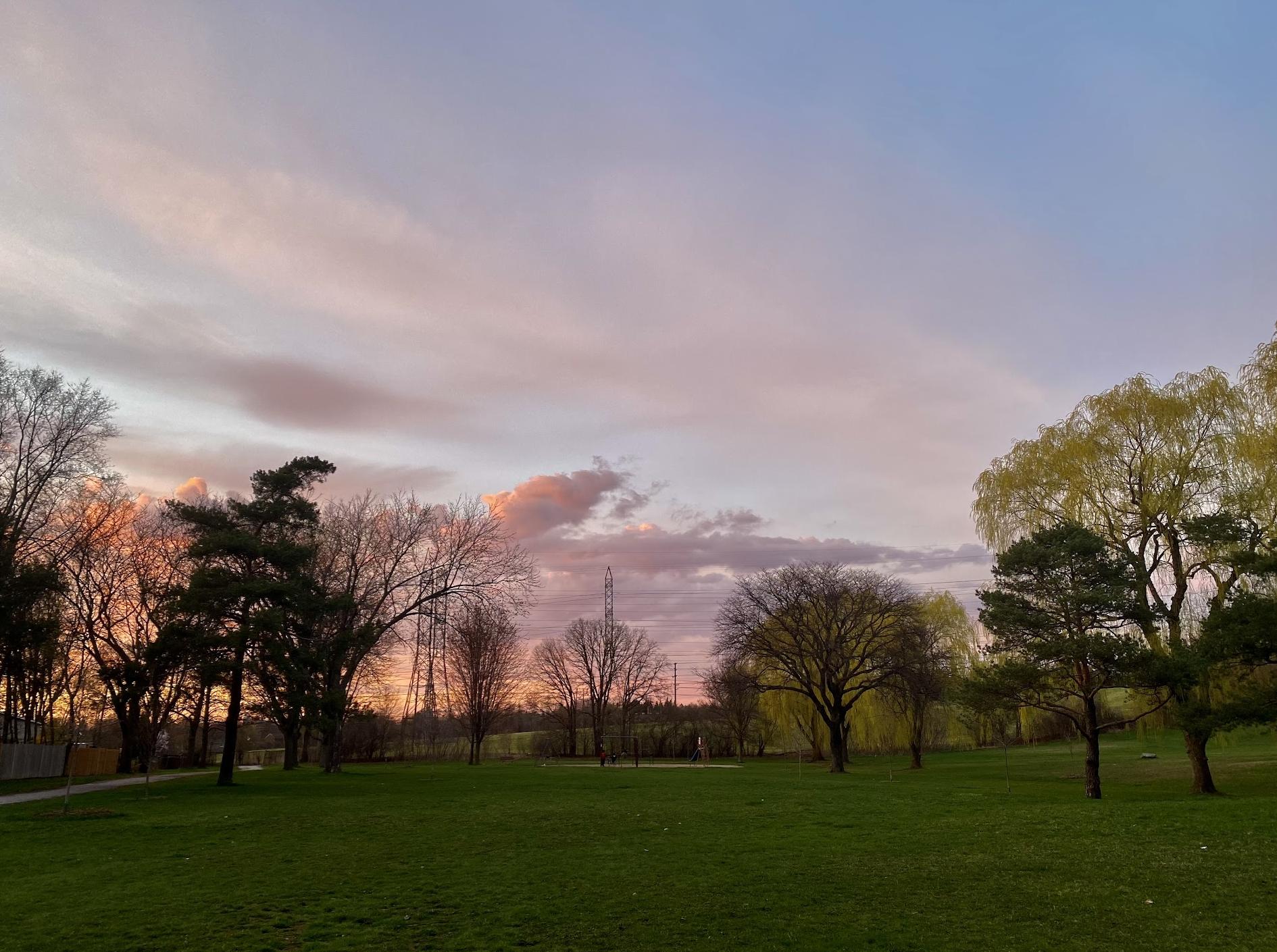 Willesden Park