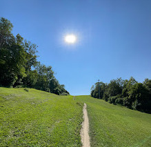 Earl Bales Park