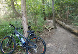 Parking for Northwest trailheads