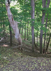 Parking for Northwest trailheads