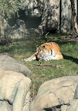 Indianapolis Zoo