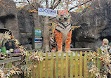 Indianapolis Zoo