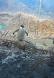 Indianapolis Zoo