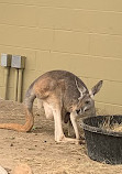 Indianapolis Zoo