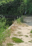 Eagle Creek Boat Ramp