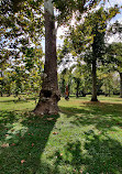 Calvert Road Park Disc Golf