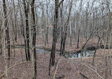 Ritchey Woods Nature Preserve