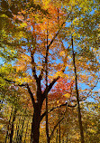 Ritchey Woods Nature Preserve