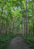 Ritchey Woods Nature Preserve