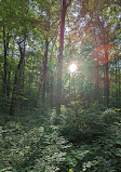 Ritchey Woods Nature Preserve