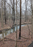 Ritchey Woods Nature Preserve