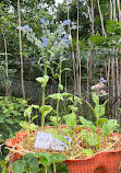 Greenburgh Nature Center