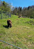 Wildlife park "Tiergarten Weilburg"