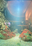 Aquarium Berlin