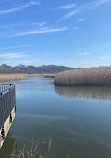 Alley Pond Environmental Center