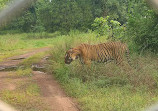 Jungle safari Nava Raipur