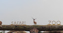 Nandanvan Jungle Safari, Nava Raipur