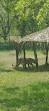 Nandanvan Jungle Safari, Nava Raipur