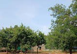 Nandanvan Jungle Safari, Nava Raipur