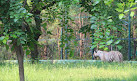 Nandanvan Jungle Safari, Nava Raipur