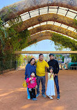 Nandanvan Jungle Safari, Nava Raipur