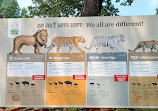 Nandanvan Jungle Safari, Nava Raipur