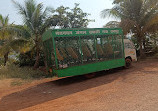 Nandanvan Jungle Safari, Nava Raipur