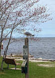 Whitefish Point Bird Observatory