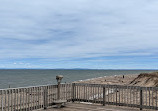 Whitefish Point Bird Observatory