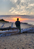 Whitefish Point Bird Observatory