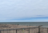 Whitefish Point Bird Observatory