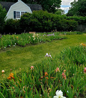 Presby Iris Gardens