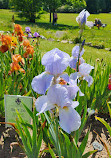 Presby Iris Gardens