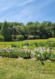 Presby Iris Gardens