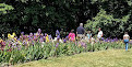 Presby Iris Gardens