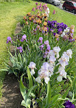 Presby Iris Gardens