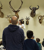 Zoological Museum of the University of Athens (ZMUA)